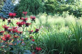 We did not find results for: New England The Inspired Cape Cod Landscape