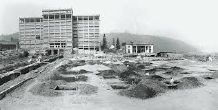 Image result for Copper Light 1972 Montgomery Ward