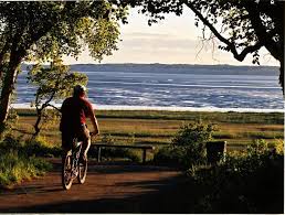 Anchorage has some of the nicest city trails in the world and the tony knowles coastal trail is its crown jewel. Tony Knowles Coastal Trail Alaska Org