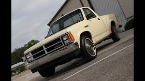 Image result for Dakota Sand 1988 Colt