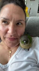 Updates for Jupiter, Marley, and Chubs ☺️#macaw #conure #amazon #birds  #rescue