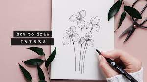 How To Draw An Iris Floral Illustration Flower Drawing Tutorials Flower Drawing Iris Drawing