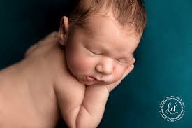 Louisiana Photographers