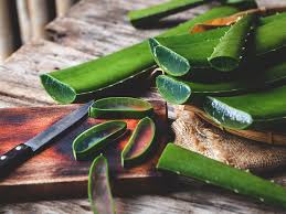 Amla is coming up in season now and you can always dry and use later throughout year. Aloe Vera Hair Mask Benefits Diy Recipes And How To Use