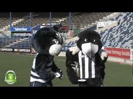 The geelong cats are calling. Mascot Survivor Youtube