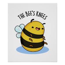 The Bees Knees Cute Bumble Bee Pun Poster Zazzle Com In 2020 Bee Puns Bees Knees Bee Drawing