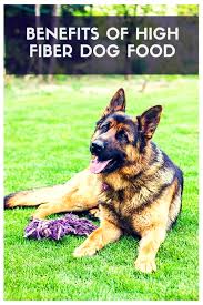 As we mentioned earlier, fiber can provide your dog with a number of different health benefits. High Fiber Dog Foods That Ll Make Any Tail Wag Therapy Pet
