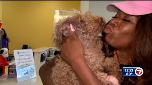 Plumbers, vets free poodle with paw stuck in bathtub drain in Fort  Lauderdale