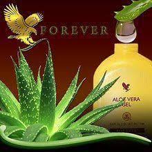 Very often, the water we drink does not live up to recommended standards and represents a. 10 Reasons Benefits To Drink Aloe Vera Gel Forever Living