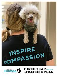 These adorable pups are available for adoption in san diego, california. San Diego Humane Society Strategic Plan By San Diego Humane Society Issuu