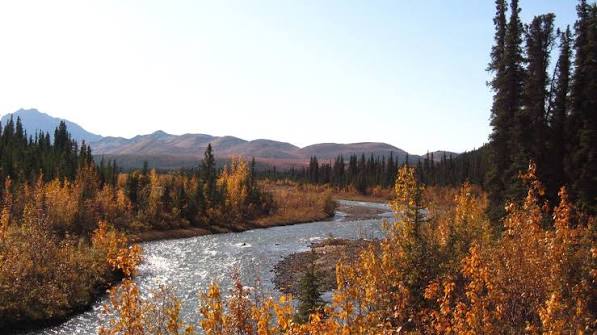 Sanctuary River Campground - Denali National Park & Preserve (U.S. National  Park Service)
