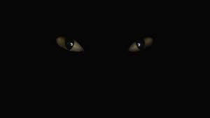 Toothless Wallpapers Hd Desktop And Mobile Backgrounds 1920x1080 paper toothless wallpaper 1920x1080 paper, toothless, artwork, apofiss. toothless wallpapers hd desktop and