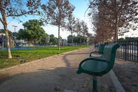 Image result for parque