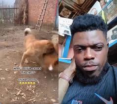 🏆⚪️ Tottenham won their first major trophy in 17 years beating Man United!  …and they will play Champions League football next season 🇪🇺