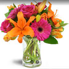Maybe you would like to learn more about one of these? Forest Of Flowers St Thomas