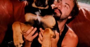 Roland H. Guillemette Jr.