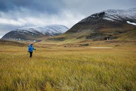The kungsleden trail now loses altitude quickly and we ran into a valley filled with birch forest. Hiking Sweden S Kungsleden Trail In Autumn From Nikkaluokta To Abisko Cody Duncan Photography