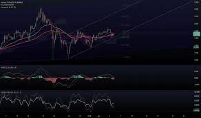 Smart contracts could elevate ada to a top tier cryptocurrency investorplace / charles hoskinson discusses shelley, trolls, and a 1000 tx/s future for cardano. Pvcykjy Uhg4hm