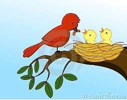Illustration Of Mother Bird Feeding Baby Bird Baby Bird Drawing Illustration Bird Drawings