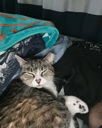 Matthew Henning (@matthewdeanhenning) • Instagram photos and videos