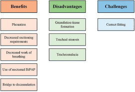 Are Fenestrated Tracheostomy Tubes Still Valuable