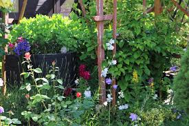 1.3 merkmale und unterscheidungen öffentlicher toiletten. Toilette Im Garten Was Ist Erlaubt Abwasser Im Kleingarten