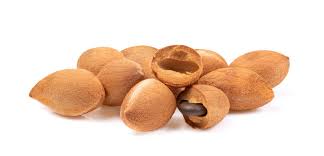 Image result for Dialium