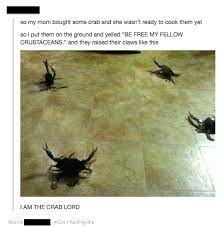 I Am The Crab Lord Funny Conversations Tumblr Funny Bones Funny