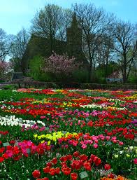 Campo De Tulipas Fotografia Jane Brocket With Images Beautiful Flowers Beautiful Gardens Flower Field