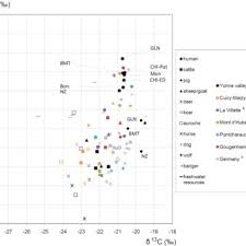 Pdf A Multi Isotope Analysis Of Neolithic Human Groups In The Yonne Valley Northern France Insights Into Dietary Patterns And Social Structure