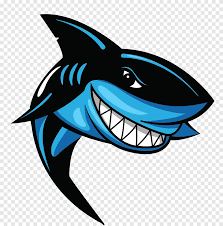49 shark logos ranked in order of popularity and relevancy. Shark Illustration Great White Shark Logo Hand Painted Whale Watercolor Painting Blue Png Pngegg