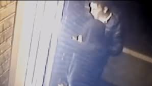 Manuel bortuzzo (foto da instagram). Il Video Della Sparatoria A Roma In Cui E Stato Ferito Il Nuotatore