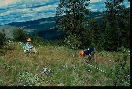Both the terms deal with plants. Botany Vs Horticulture What S The Difference Ask Difference