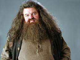 Can We Guess Your Favorite Harry Potter Character Harry Potter Characters Rubeus Hagrid Hagrid Costume