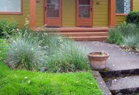 When rain falls on undisturbed areas, it is naturally slowed down and allowed to soak into the soil, while simultaneously being filtered by vegetation and. Rain Garden Faq Emswcd