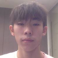 30+ "Howard Luo" profiles