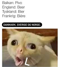Danmark slog sverige for første gang i 14 år i denne kamp, blandt andet på ole madsens berømte holdopstillinger og målscorere: Morfar Fortaeller Photos Facebook