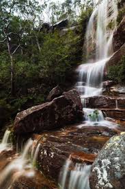 Wildflowers And Waterfalls At America Bay Ku Ring Gai National Park Nsw Waterfall National Parks Local Travel