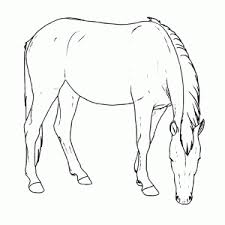 De uva maakt gebruik van cookies en daarmee vergelijkbare technieken voor het functioneren, meten en optimaliseren van de website. Kleurplaat Van Een Paard Printen Leuk Voor Kids