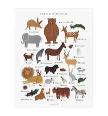 rifle paper co animal alphabet chart art print relish decor