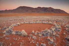 The cuisine of namibia is influenced by both the cookery practiced by the indigenous inhabitants and that introduced by the europeans who colonized the country in the past. The Mystery Of The Namibian Fairy Circles