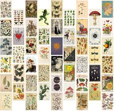 'zendaya aesthetic ' canvas print by lunervie. Amazon Com 8tehevin 50pcs Vintage Botanical Illustration Tarot Aesthetic Pictures Wall Collage Kit Trendy Small Poster For Dorm Vintage Style Art Print Photo Collection Bedroom Decor For Teens Boys Girls Posters Prints