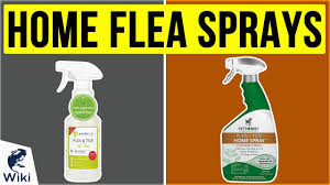 Top 8 Home Flea Sprays Of 2021 Video Review