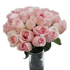 Titanic Light Pink Rose Fiftyflowers Com Light Pink Rose Rose Flower Arrangements