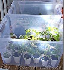 epingle sur jardin