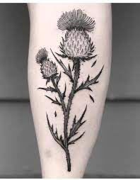 Rose tattoos flower tattoos body art tattoos tatoos tattoos for women tattoos for guys scotland tattoo scottish thistle tattoo celtic cross. 14 Scottish Thistle Tattoo Ideas Thistle Tattoo Scottish Thistle Tattoo Thistle