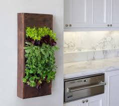 A kitchen herb garden is simply a frilly term for your average home herb garden. 30 Phenomenal Indoor Herb Gardens 954bartend Info