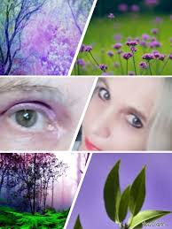 Where to find the purple can of Gentle Ease?