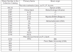 assessment of the growth and fruiting of 19 oyster mushroom