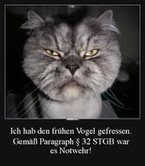Ich Hab Den Fruhen Vogel Gefressen Lustige Bilder Spruche Witze Echt Lustig Lustige Bilder Lustig Katzen Lustige Spruche
